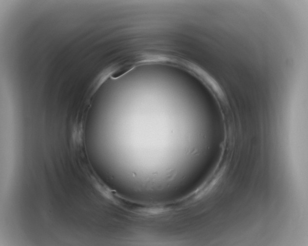 X0000114201193200910091246