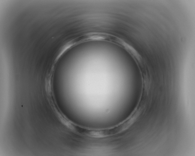 X0000114201194200910091246