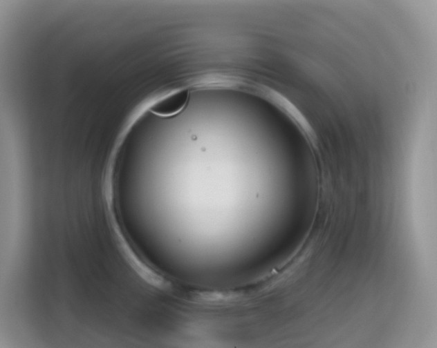 X0000114201195200910091246