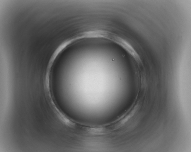 X0000114201196200910091246