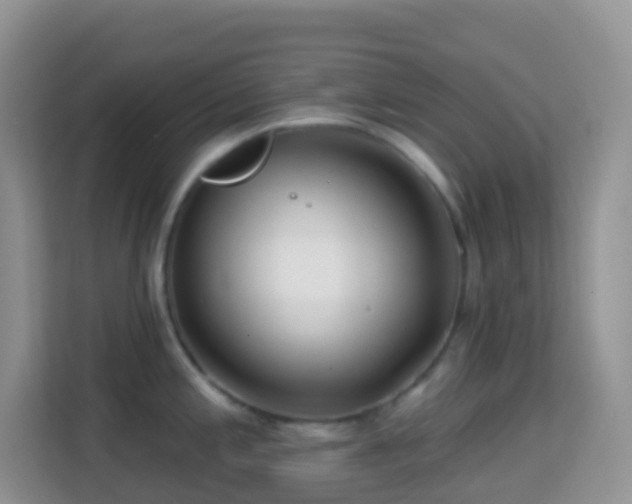 X0000114201197200910091246