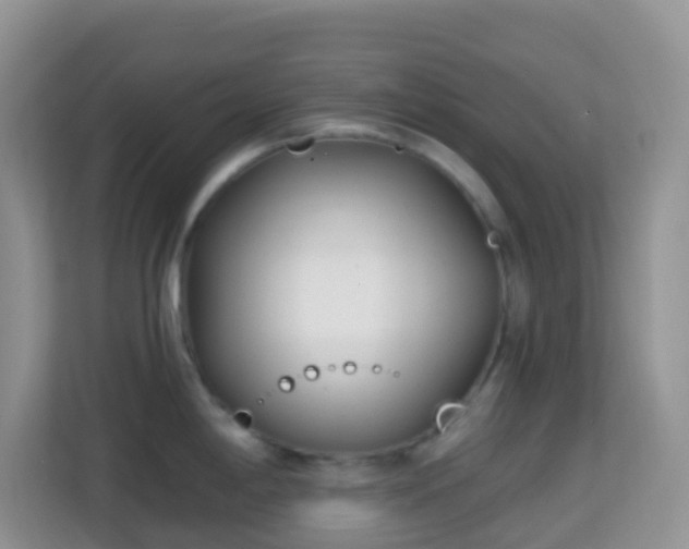 X0000114201198200910091246