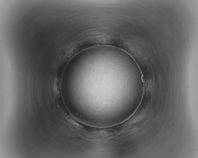 X0000114201202200910091245