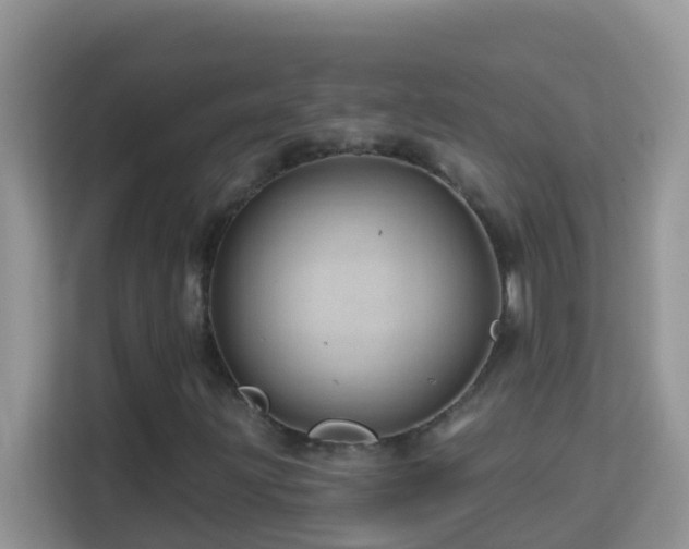 X0000114201203200910091245