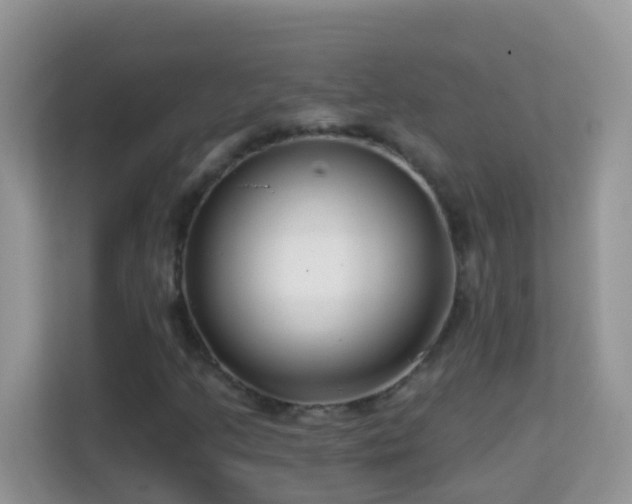 X0000114201205200910091245