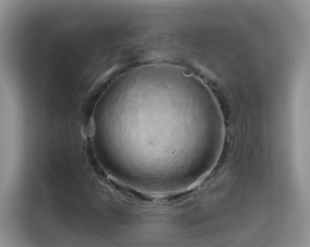 X0000114201206200910091245