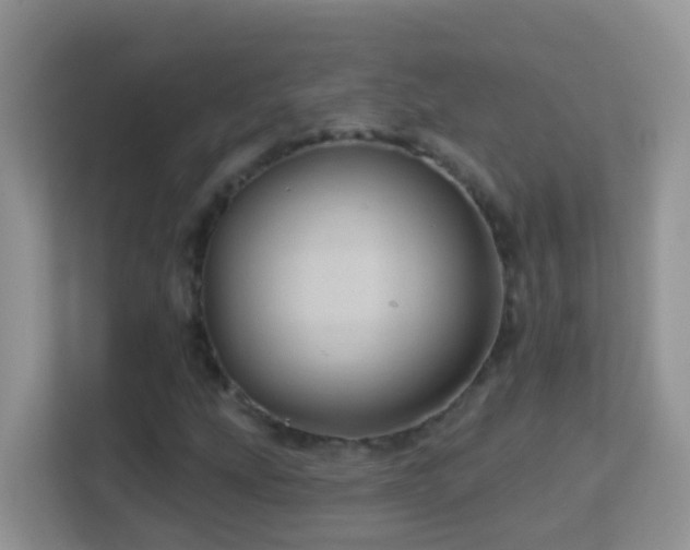 X0000114201207200910091246