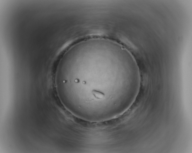 X0000114201208200910091246