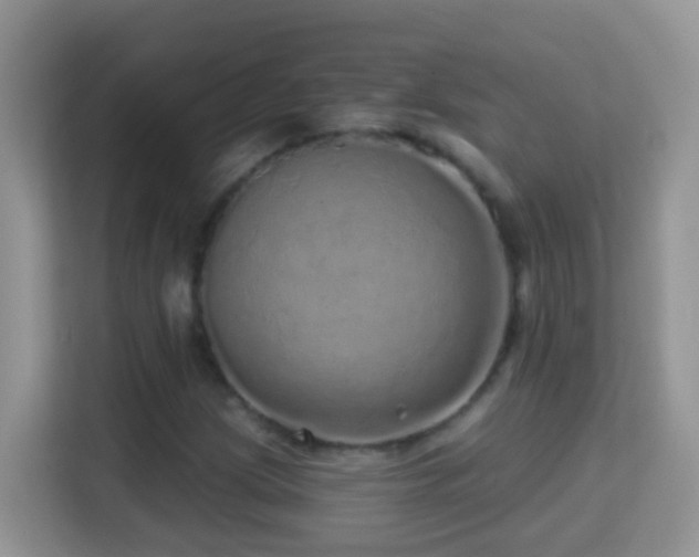 X0000114201209200910091246