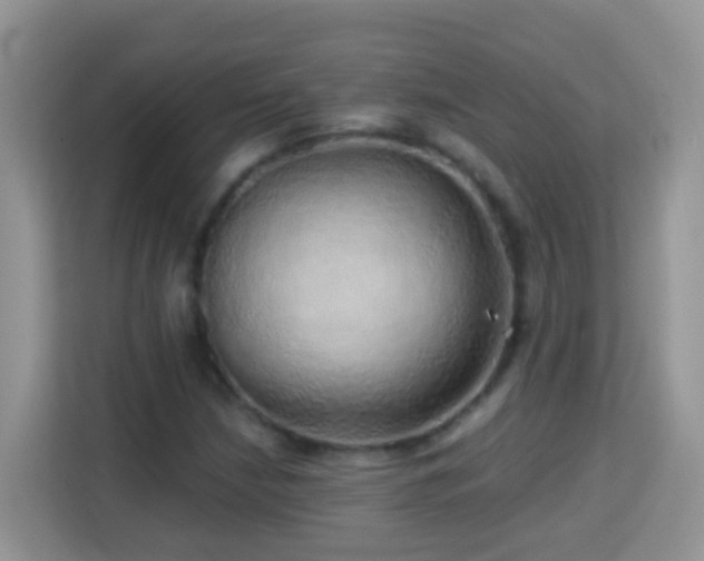 X0000114201210200910091246