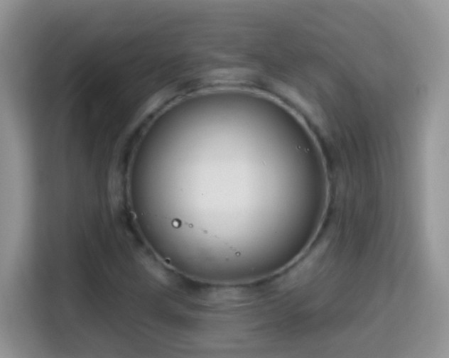 X0000114201211200910091246