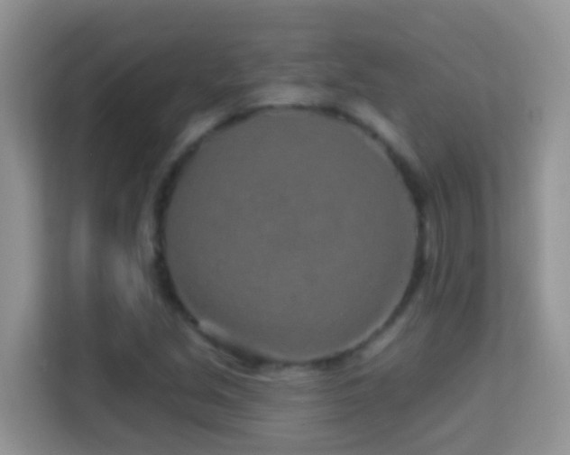 X0000114201213200910091246