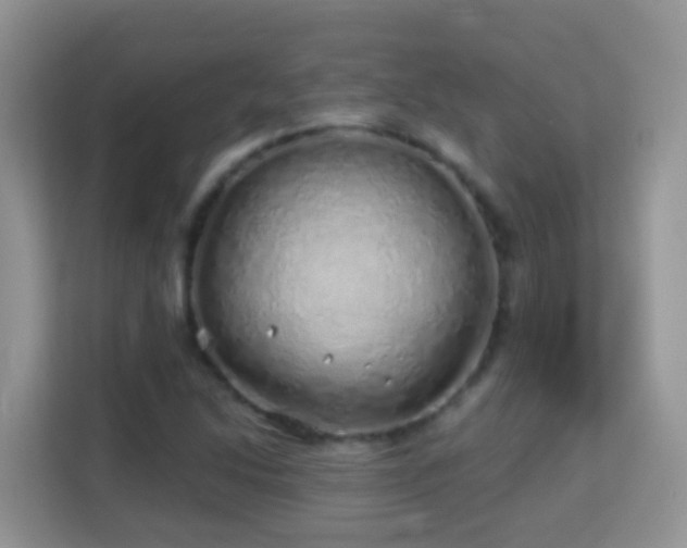 X0000114201214200910091246