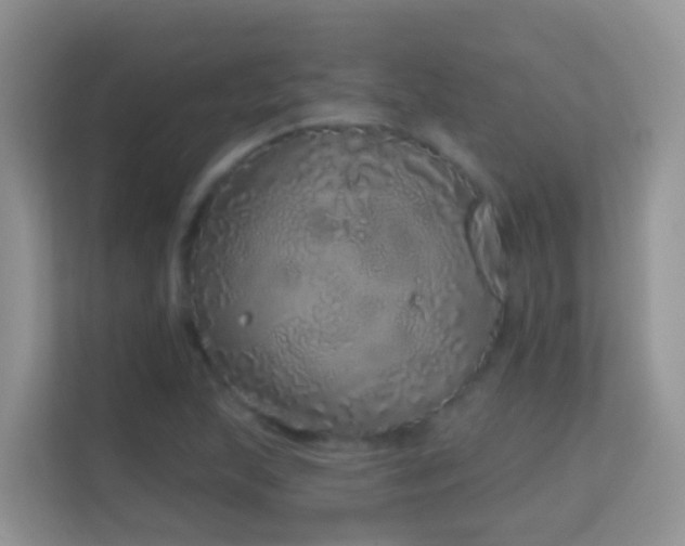 X0000114201215200910091246