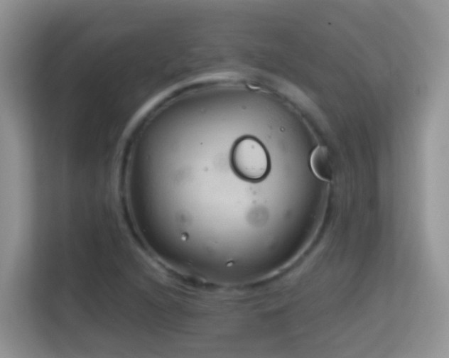X0000114201216200910091246