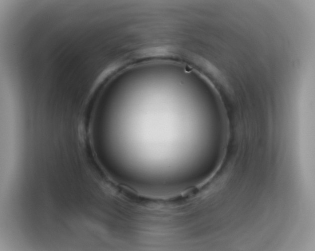 X0000114201218200910091246