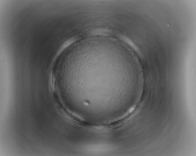 X0000114201219200910091246
