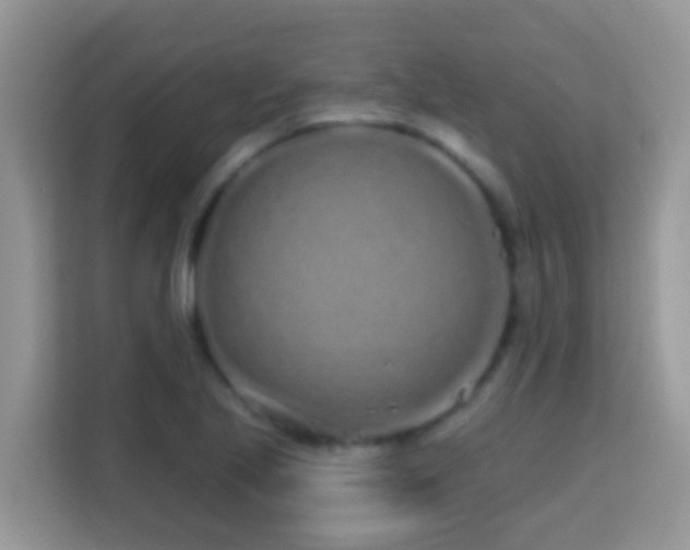 X0000114201221200910091246