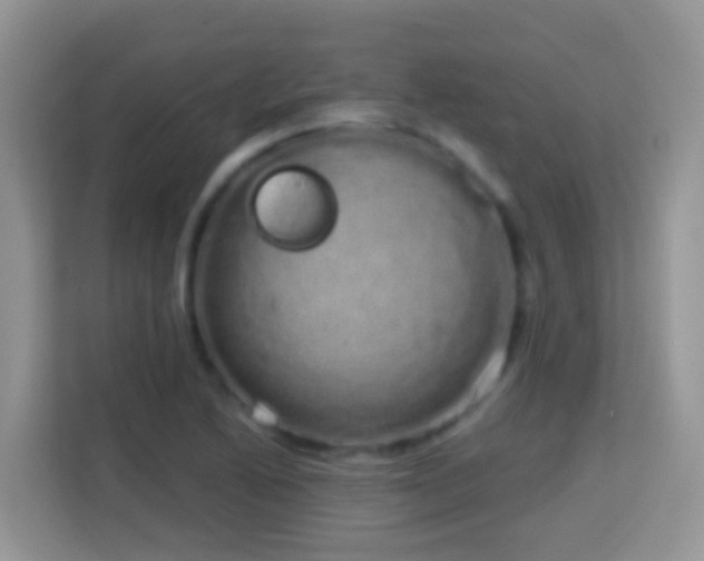 X0000114201222200910091246