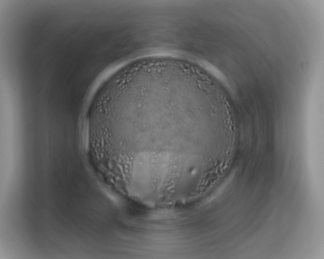 X0000114201223200910091246