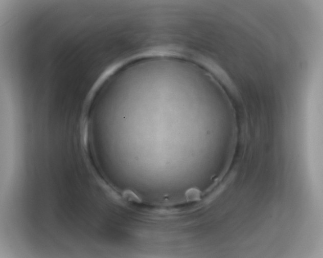 X0000114201224200910091246