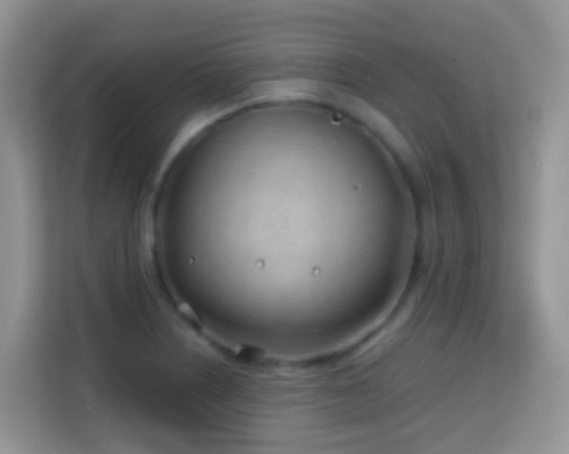 X0000114201226200910091246