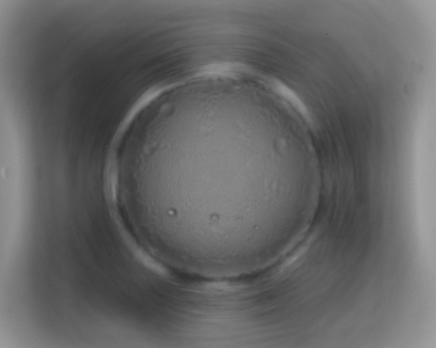 X0000114201227200910091246