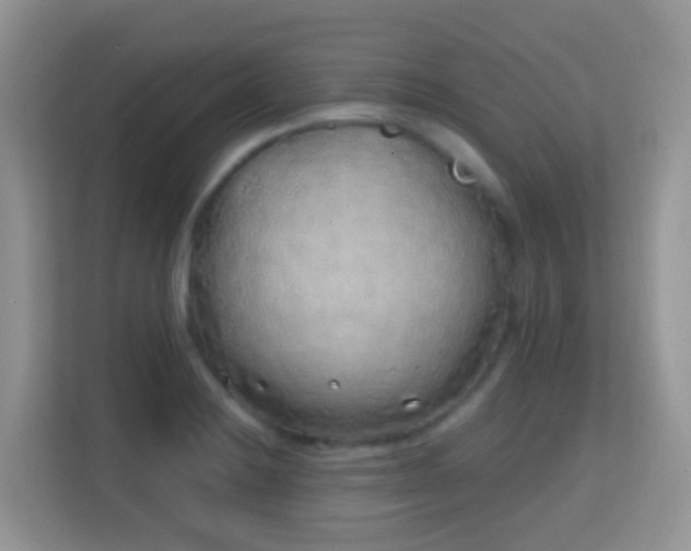 X0000114201228200910091246