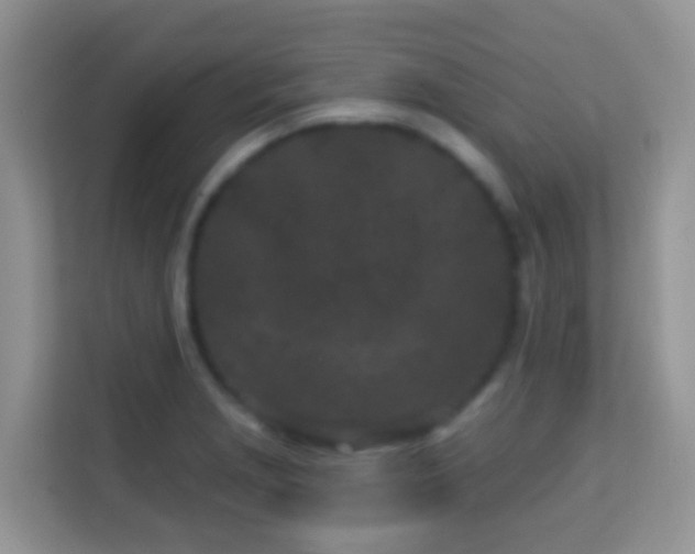 X0000114201229200910091246