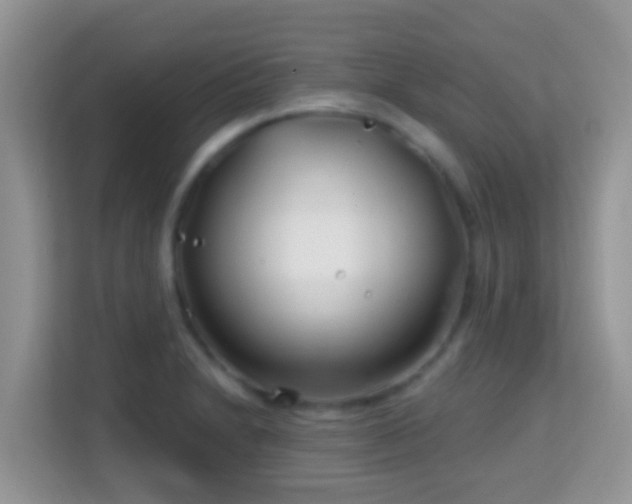 X0000114201230200910091246