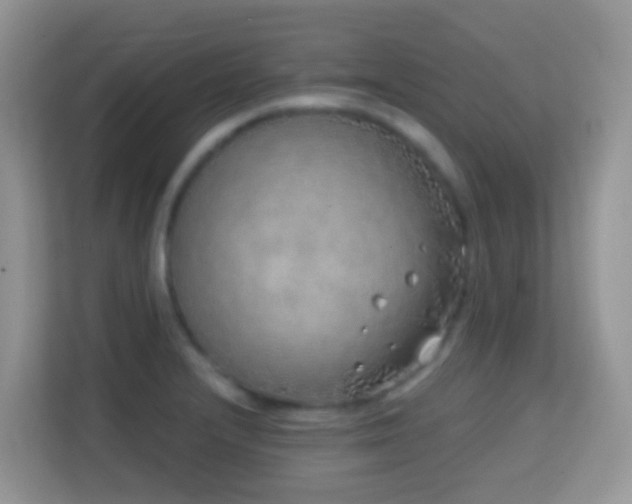 X0000114201232200910091246