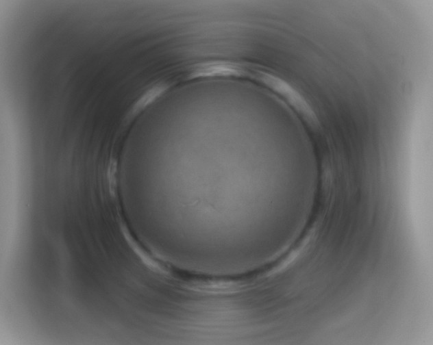 X0000114201233200910091246