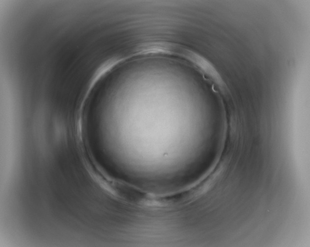 X0000114201234200910091246
