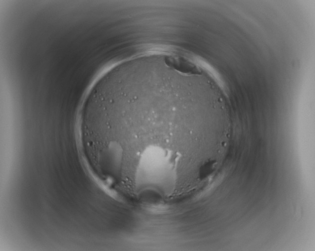 X0000114201235200910091246