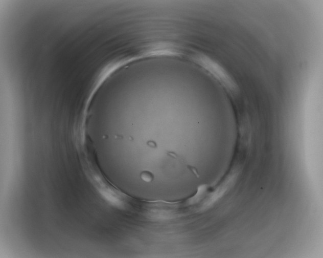 X0000114201236200910091246