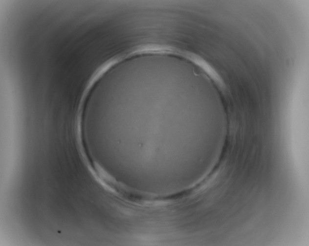 X0000114201237200910091246