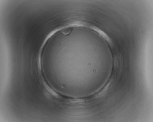 X0000114201238200910091246