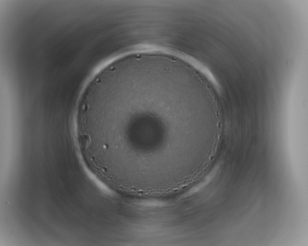 X0000114201239200910091246