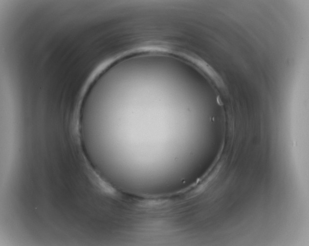X0000114201240200910091246