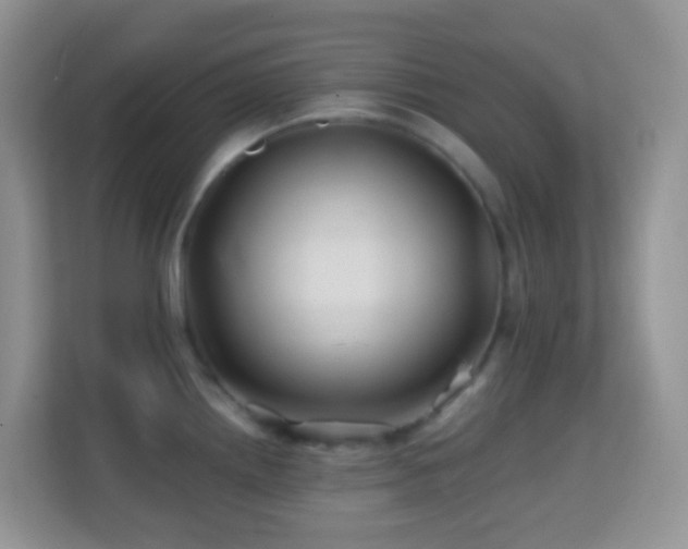X0000114201242200910091246