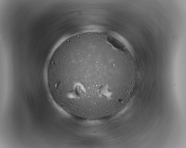 X0000114201243200910091246