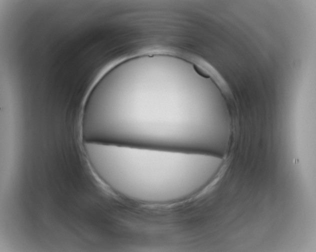 X0000114201244200910091246