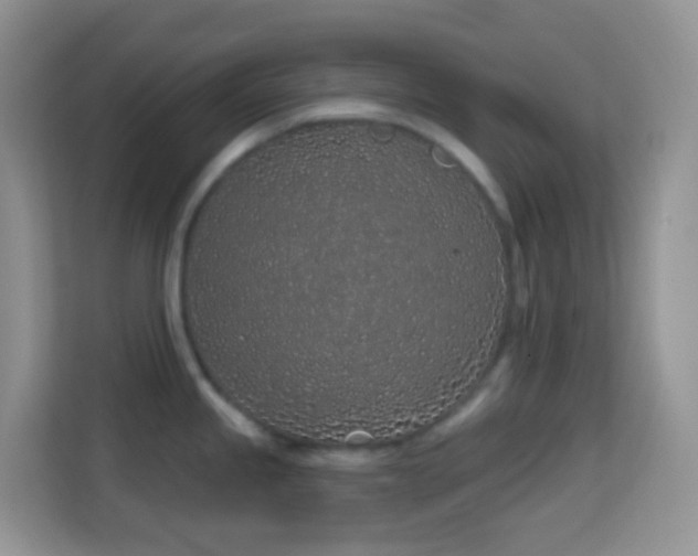 X0000114201245200910091246