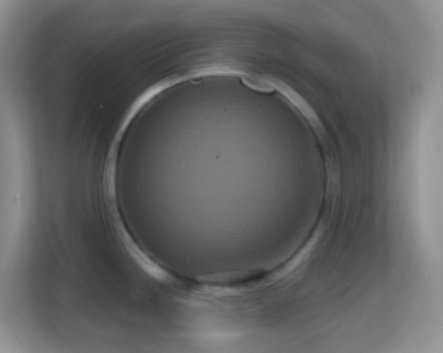 X0000114201246200910091246