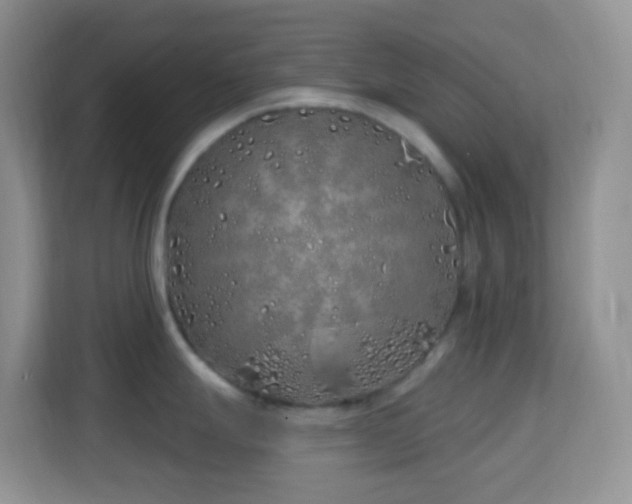 X0000114201247200910091246