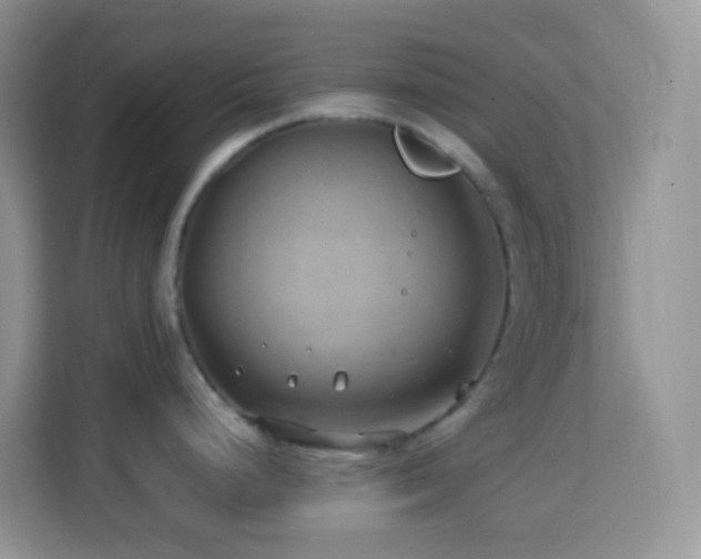 X0000114201248200910091246