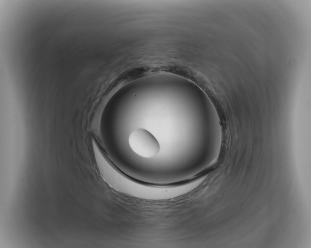 X0000114201249200910091245
