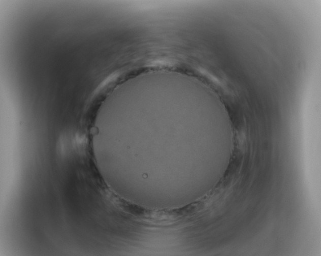 X0000114201254200910091245