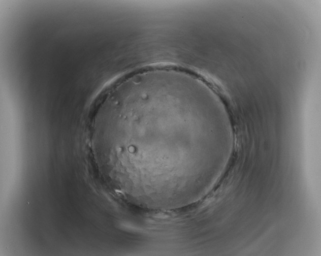 X0000114201255200910091245