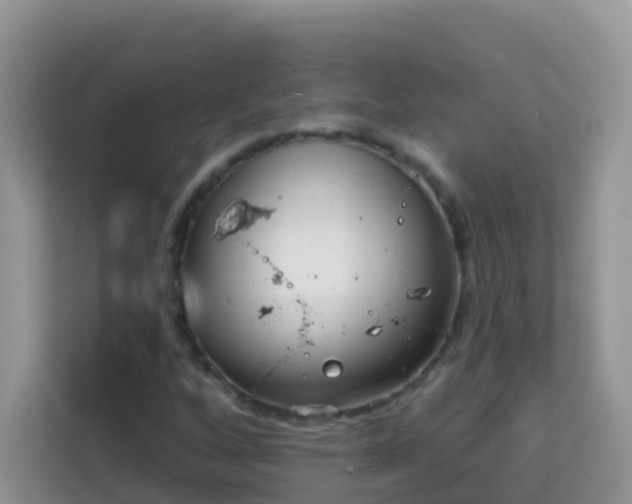 X0000114201256200910091245